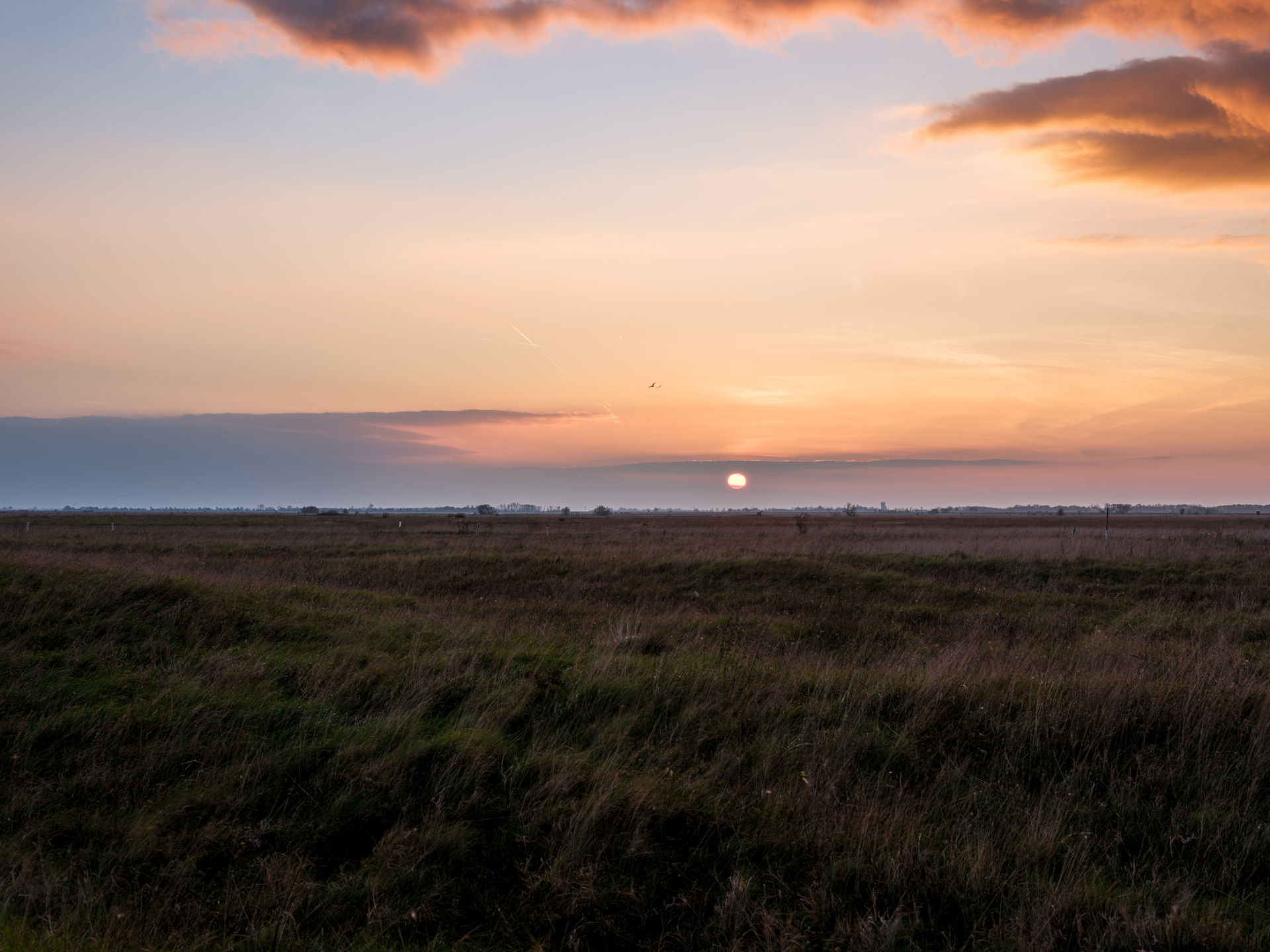 Abendlicht über der weiten Landschaft des Seewinkels