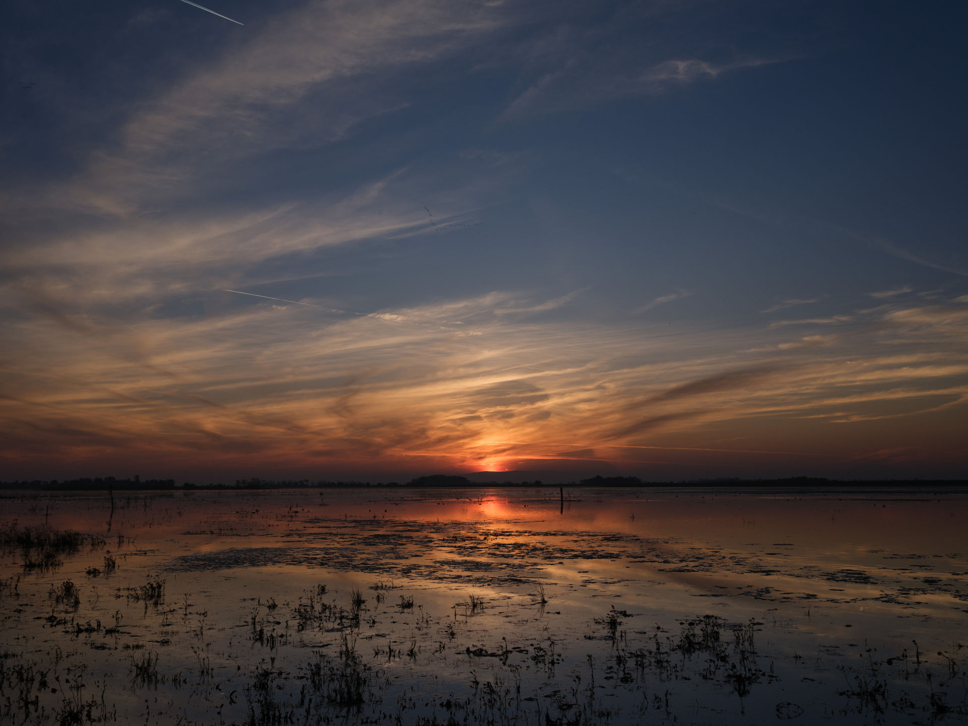 Sonnenuntergang über dem Seewinkel