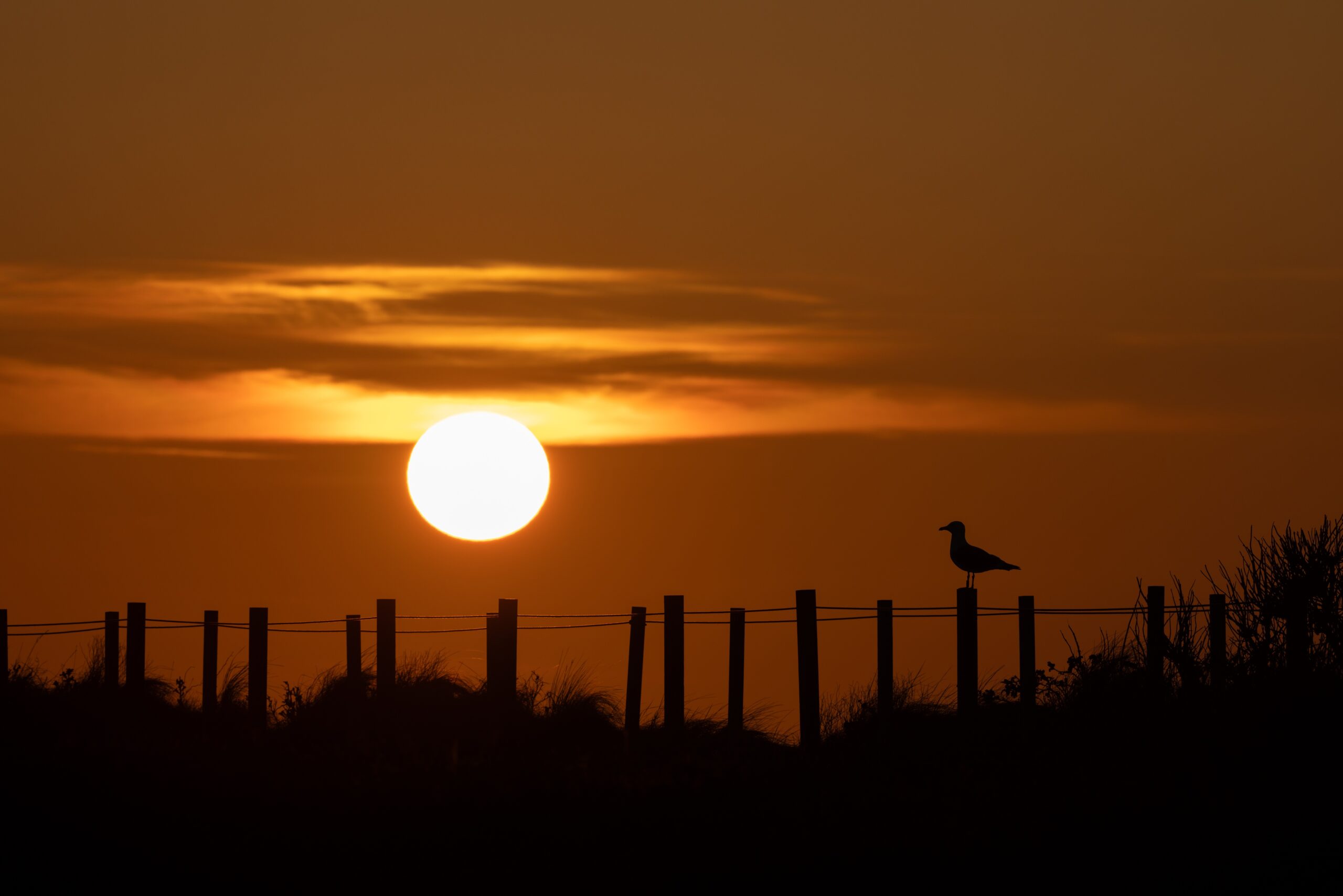 Sonnenuntergang